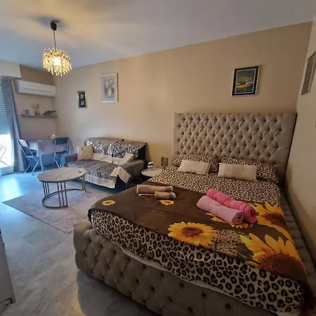 Elegant F1 Proche Tramway Et Appartement Nice